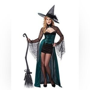 Enchantress/witch costume by California Costumes